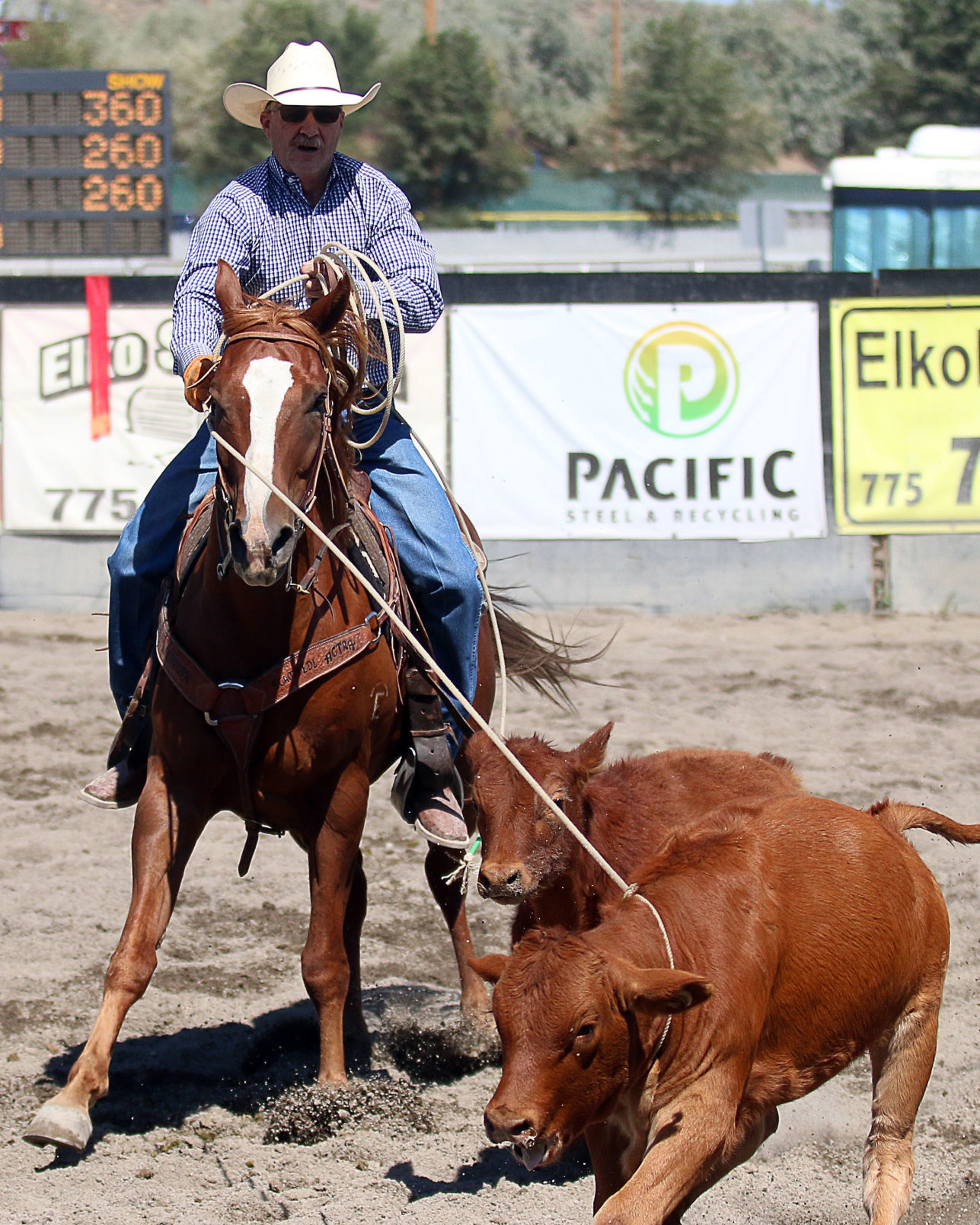 2018 Elko County Fair Open Branding Finals (10).JPG